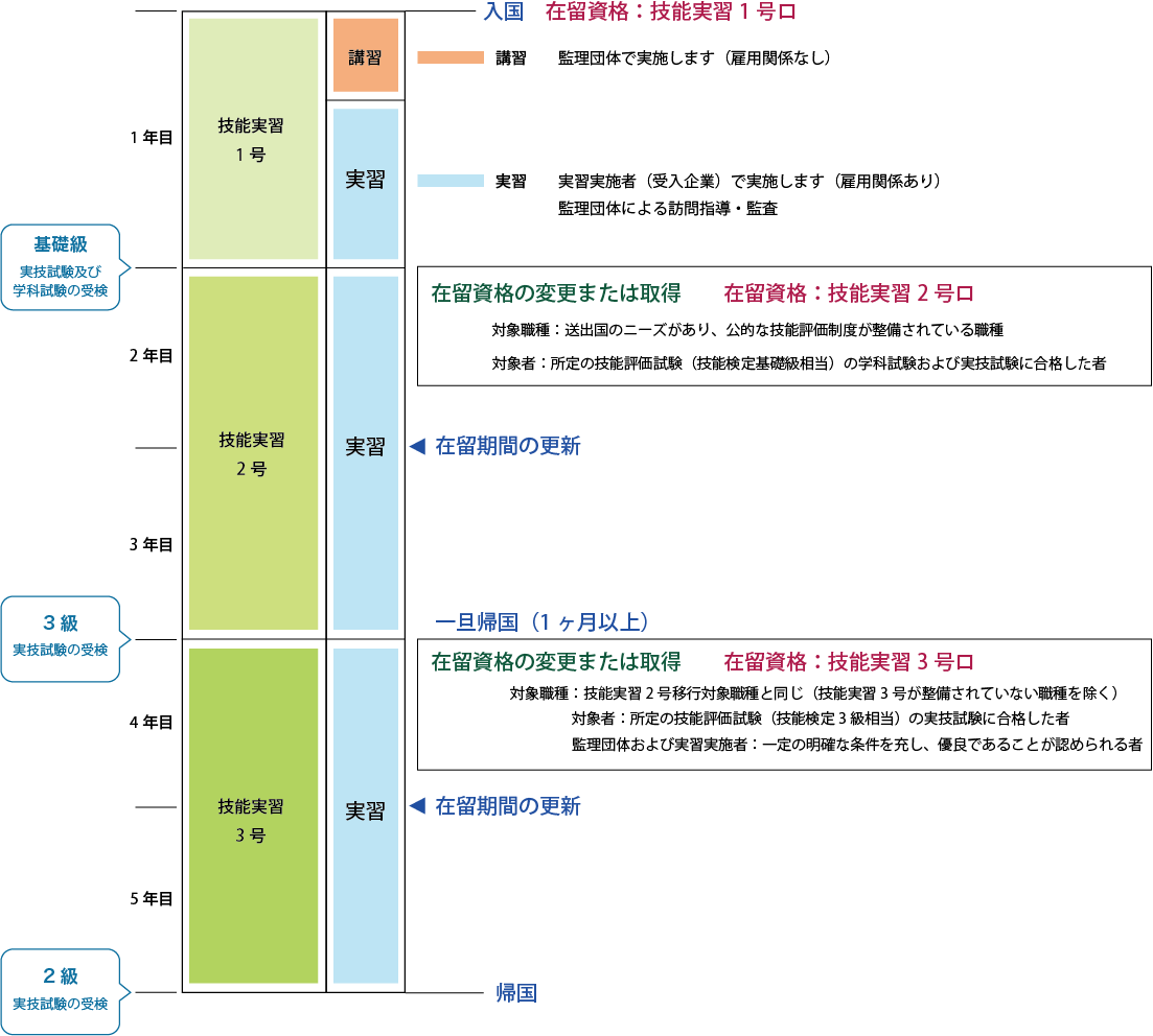 プラスシーファクトリー協同組合＿外国人技能実習生＿技能実習の流れ